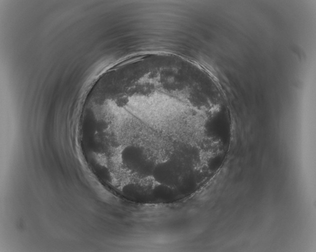 X0000113160145200910021508