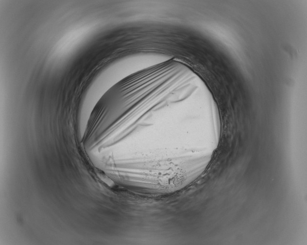 X0000113160146200910021508