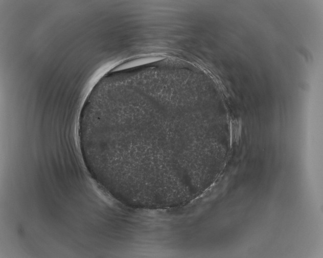 X0000113160147200910021508