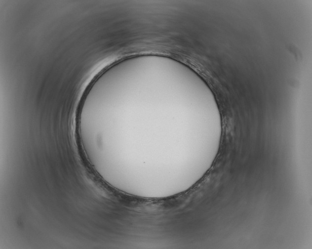 X0000113160148200910021508