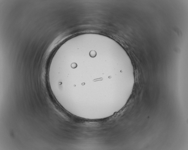 X0000113160150200910021508