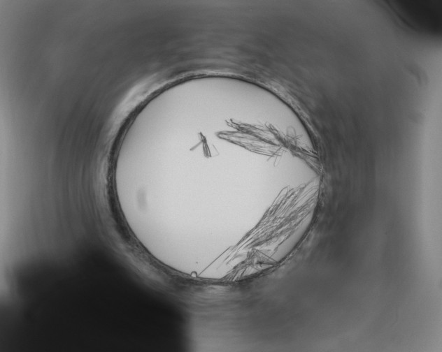 X0000113160151200910021508