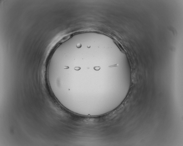 X0000113160152200910021508