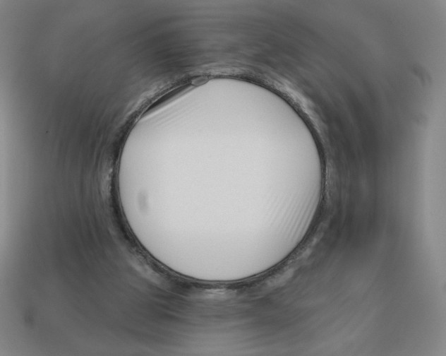 X0000113160153200910021508