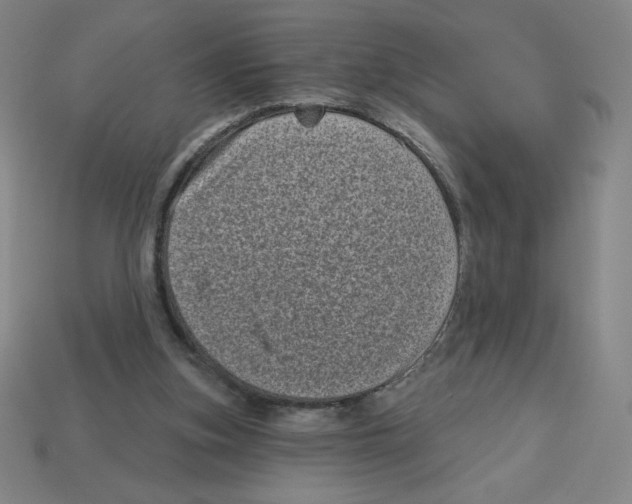 X0000113160155200910021508