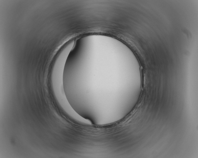 X0000113160156200910021508