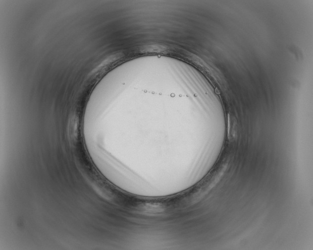 X0000113160157200910021508