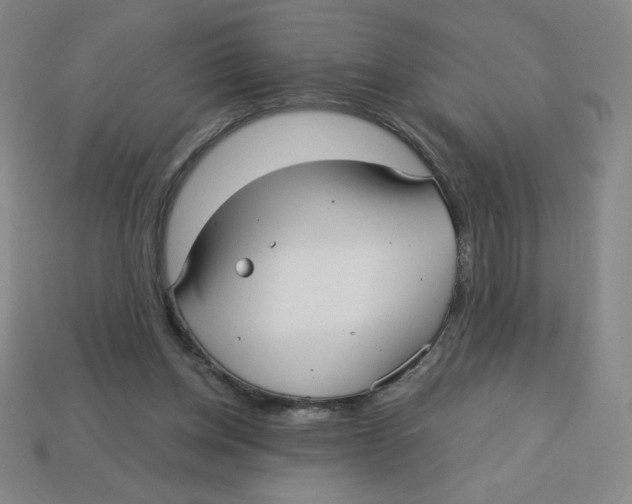 X0000113160158200910021508