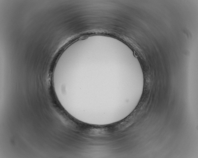 X0000113160160200910021508