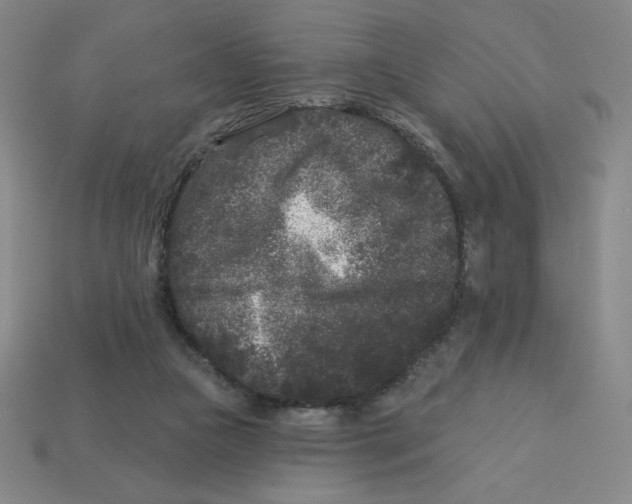 X0000113160161200910021508