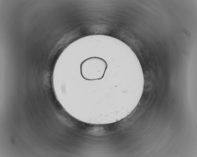 X0000113160162200910021508