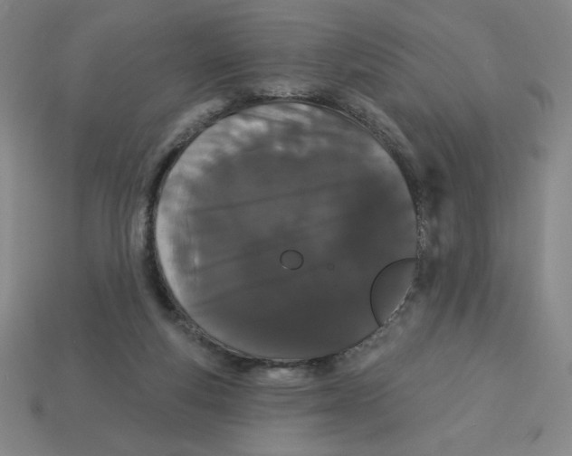 X0000113160163200910021508