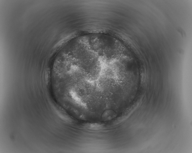 X0000113160165200910021508