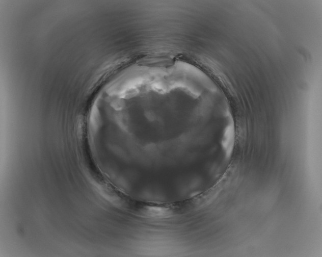 X0000113160167200910021508