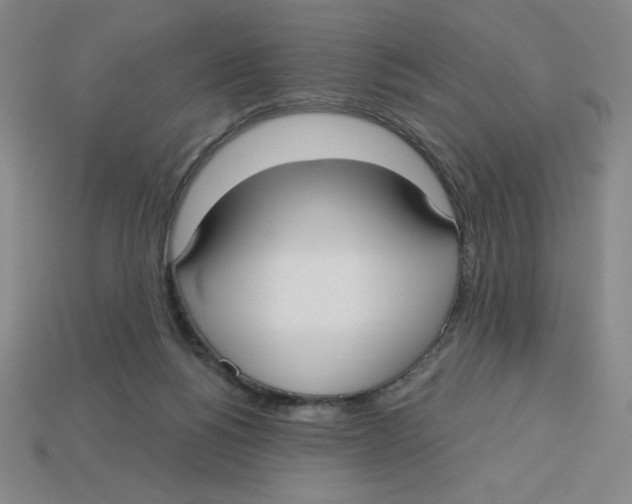 X0000113160168200910021508