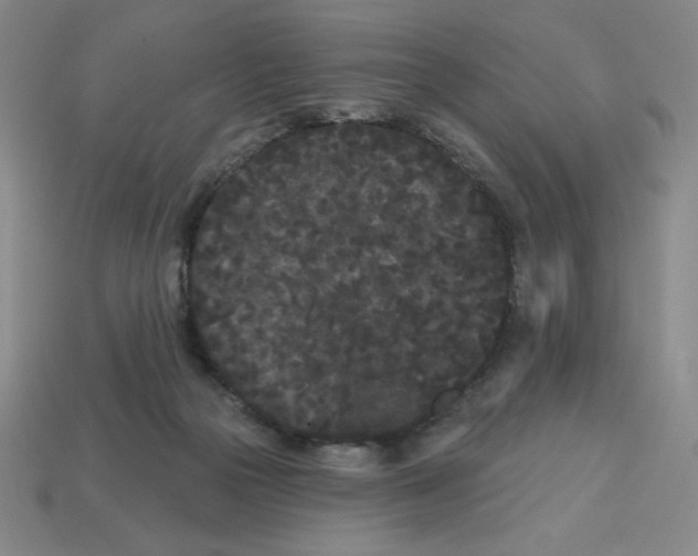 X0000113160169200910021508