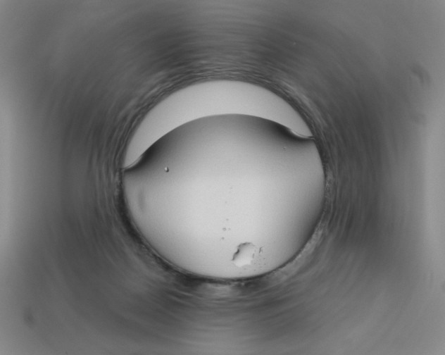 X0000113160170200910021508