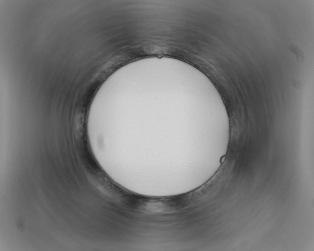 X0000113160171200910021508