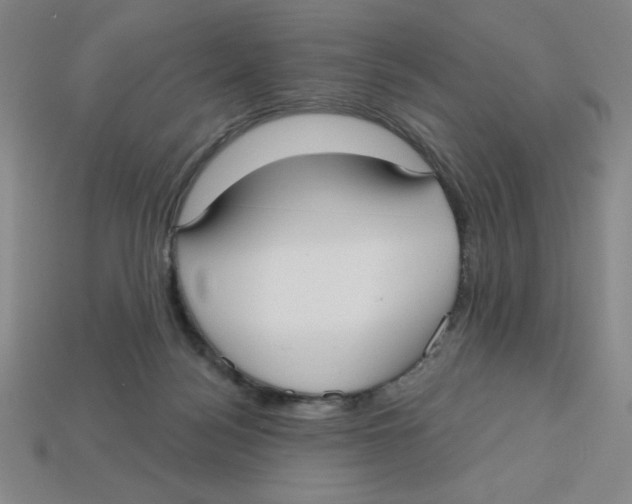 X0000113160172200910021508