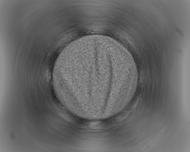 X0000113160173200910021509