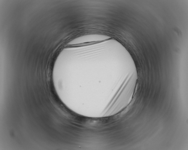 X0000113160174200910021509