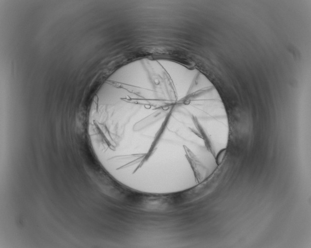 X0000113160175200910021509