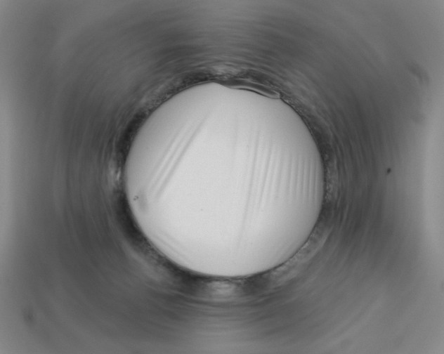 X0000113160176200910021509