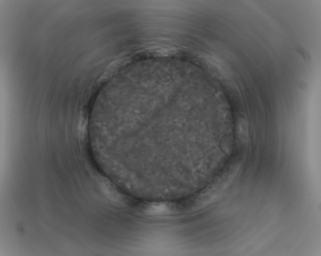 X0000113160177200910021509