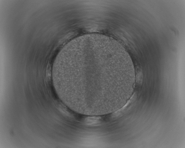 X0000113160179200910021509