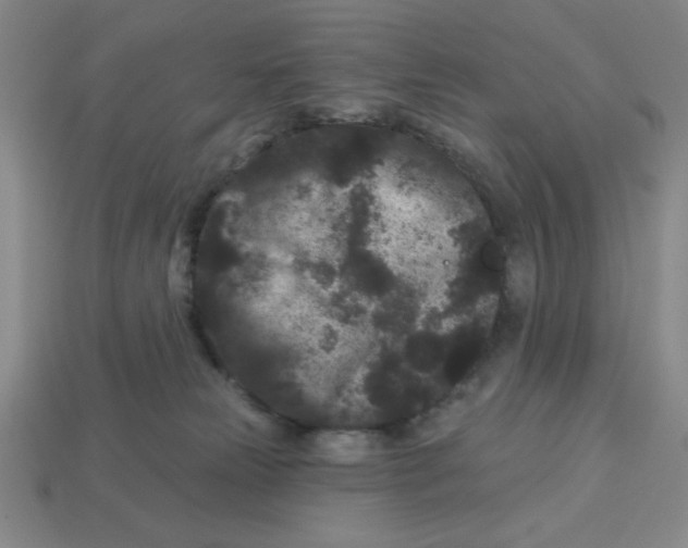 X0000113160181200910021509