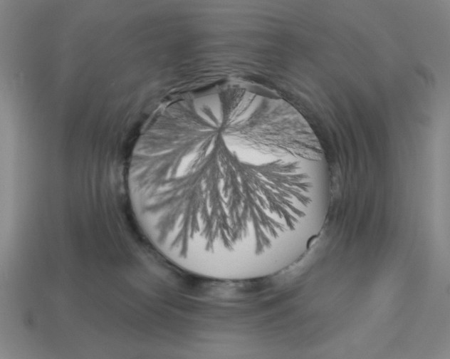 X0000113160182200910021509