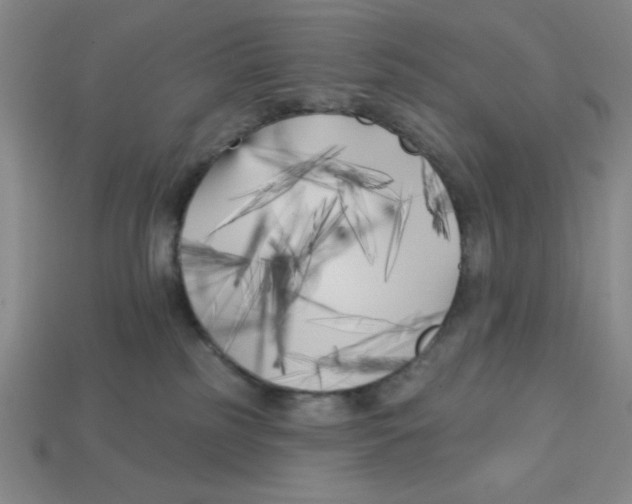 X0000113160185200910021509