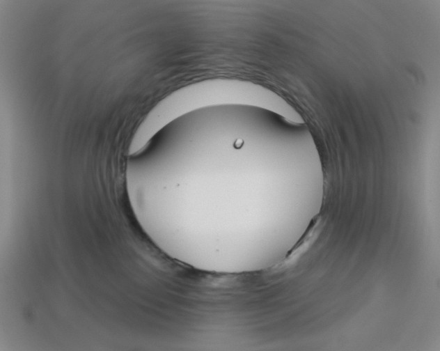 X0000113160186200910021509