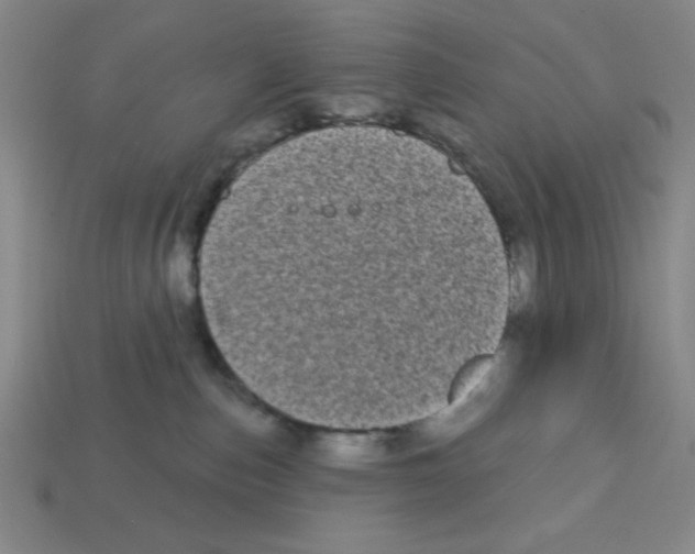 X0000113160187200910021509