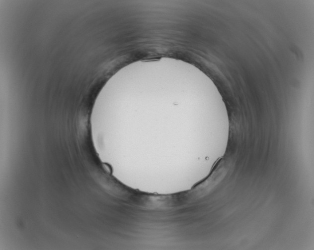 X0000113160188200910021509