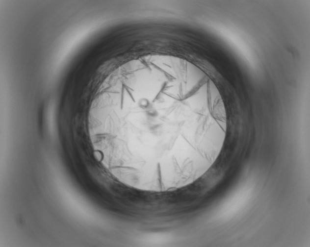 X0000113160189200910021509