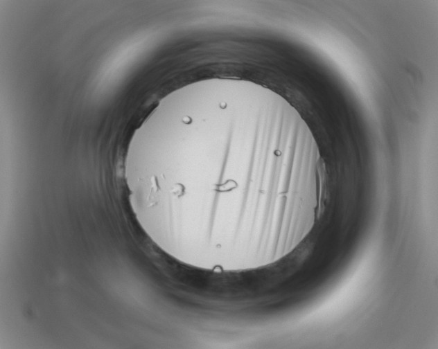 X0000113160190200910021509