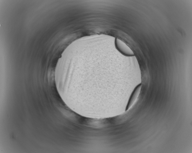 X0000113160191200910021509