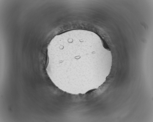 X0000113160192200910021509