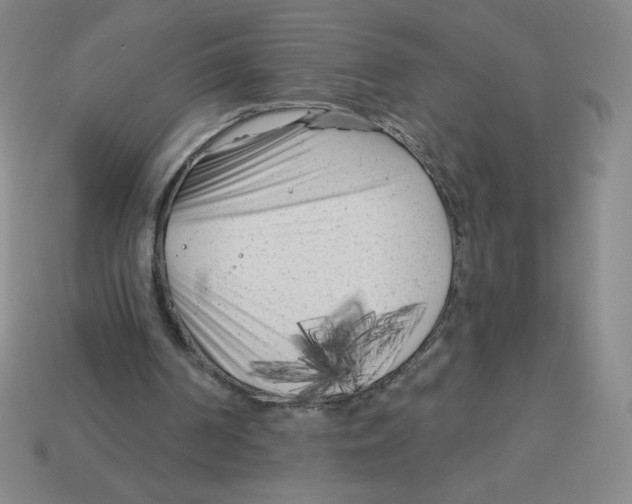 X0000113160194200910021508