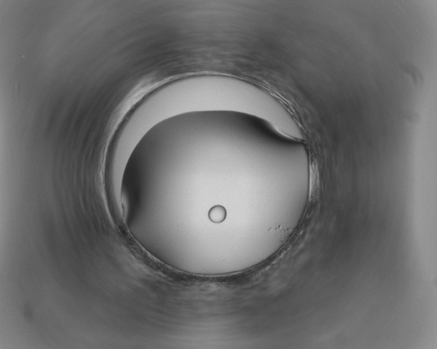 X0000113160195200910021508