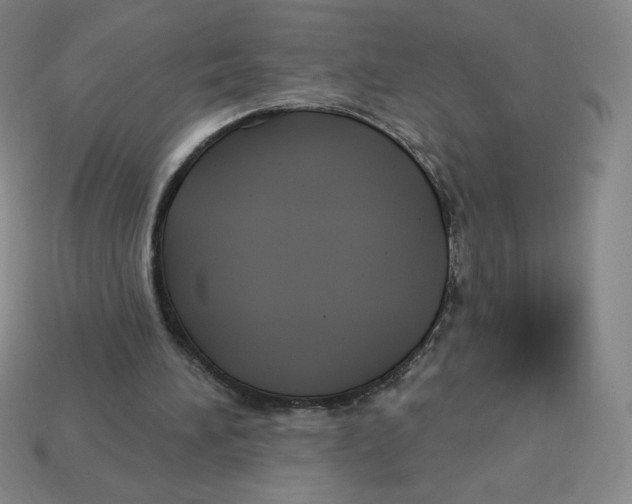 X0000113160196200910021508