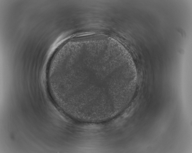 X0000113160198200910021508