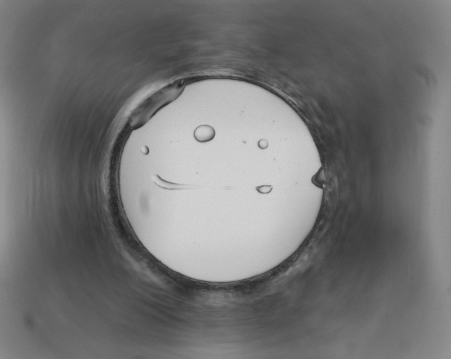 X0000113160200200910021508