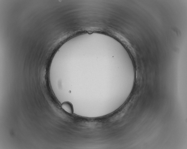 X0000113160201200910021508