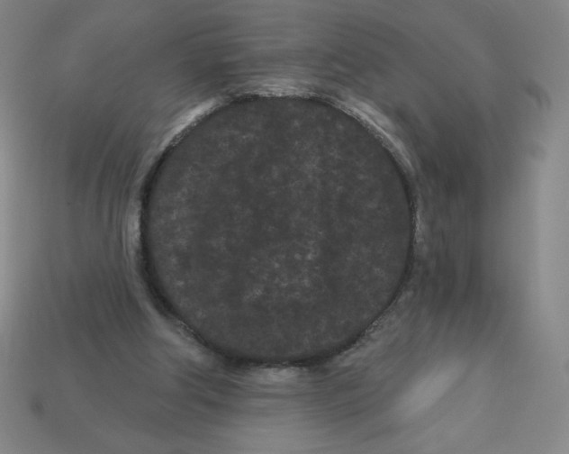 X0000113160202200910021508