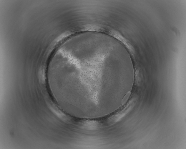 X0000113160203200910021508