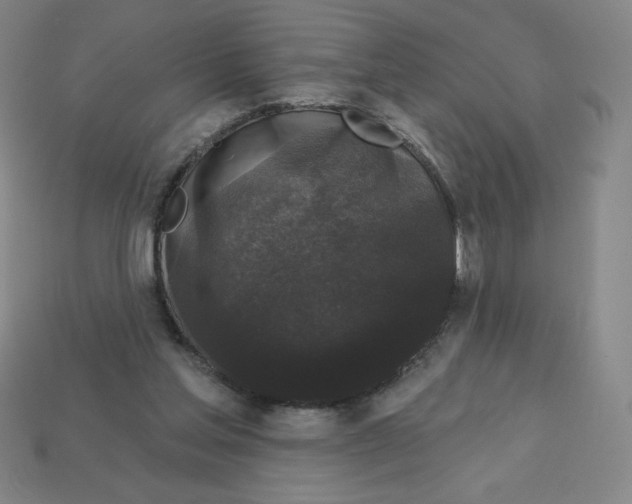 X0000113160205200910021508