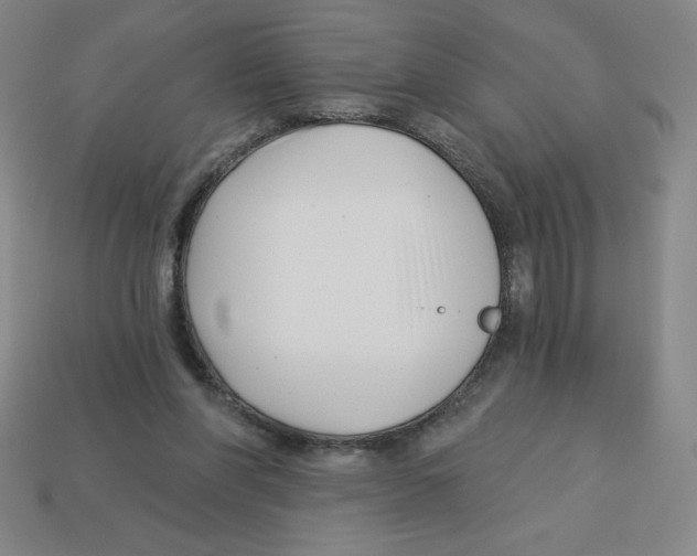 X0000113160206200910021508