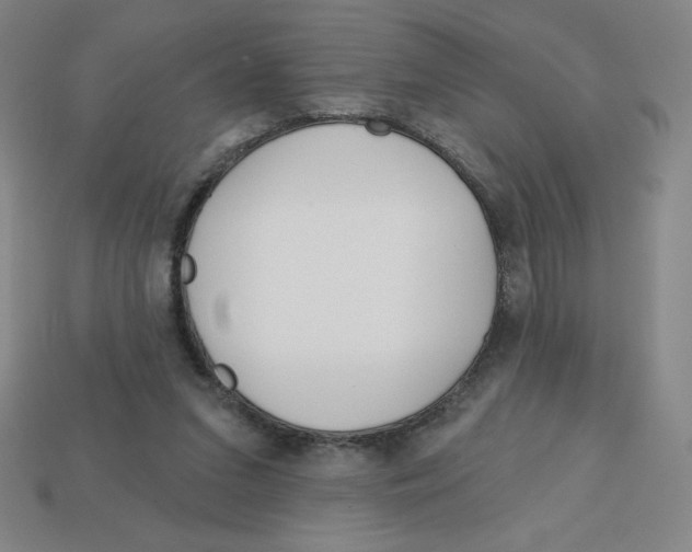 X0000113160207200910021508